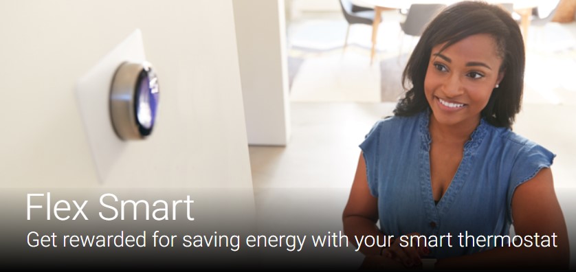 Flex Smart