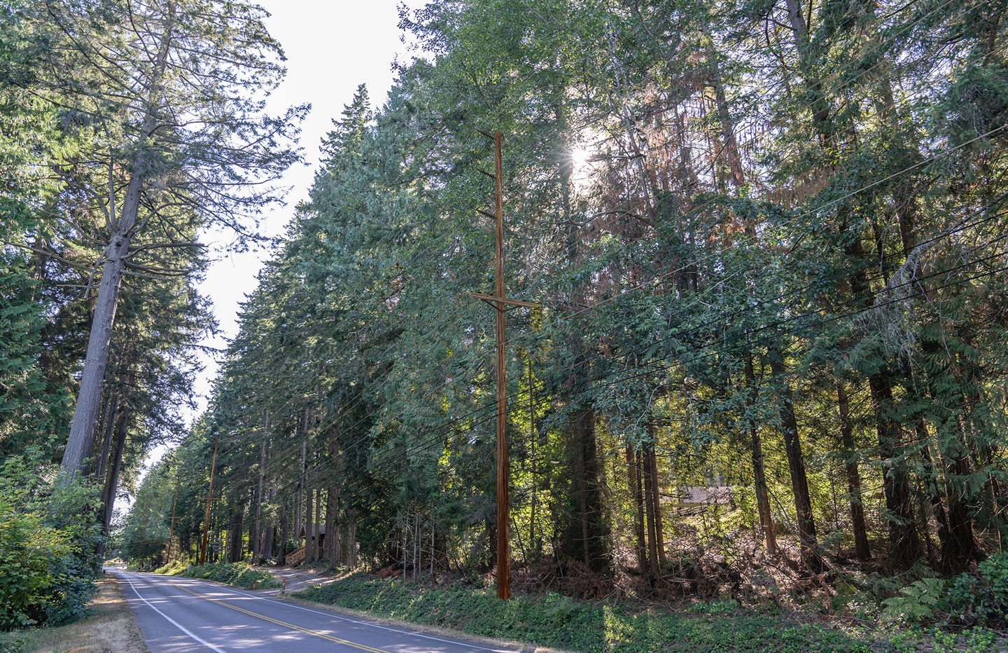 Sportsman Club Road rendering