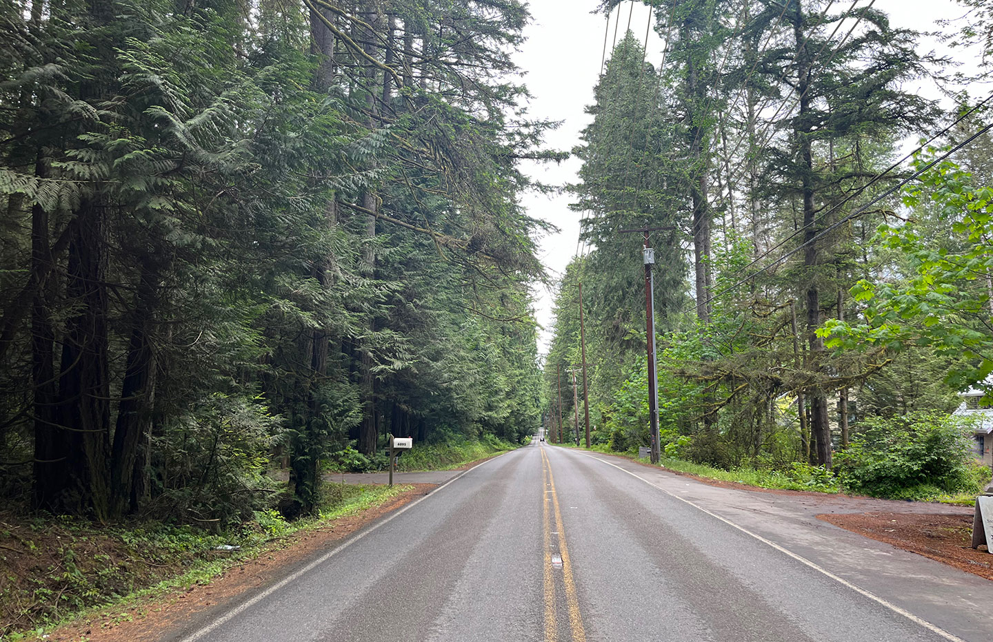 Fletcher Bay Road rendering