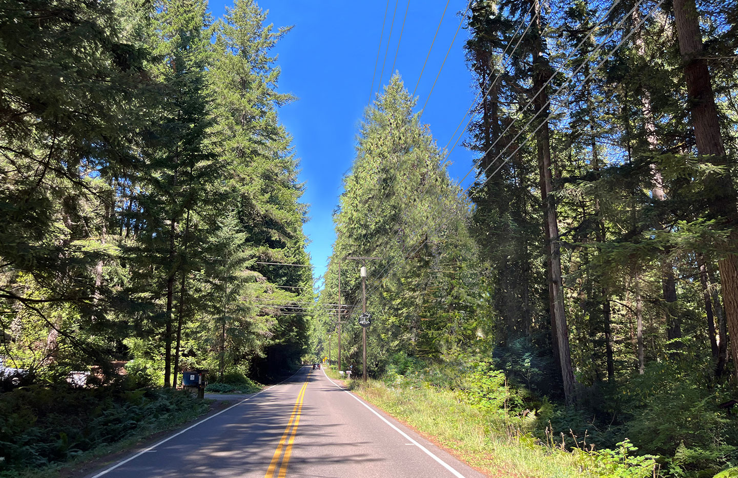 Fletcher Bay Road rendering