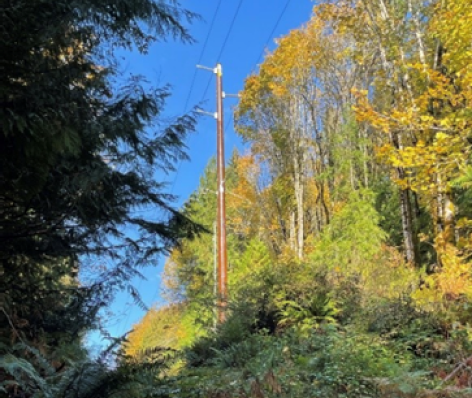Example of fiberglass replacement pole for wetland areas.